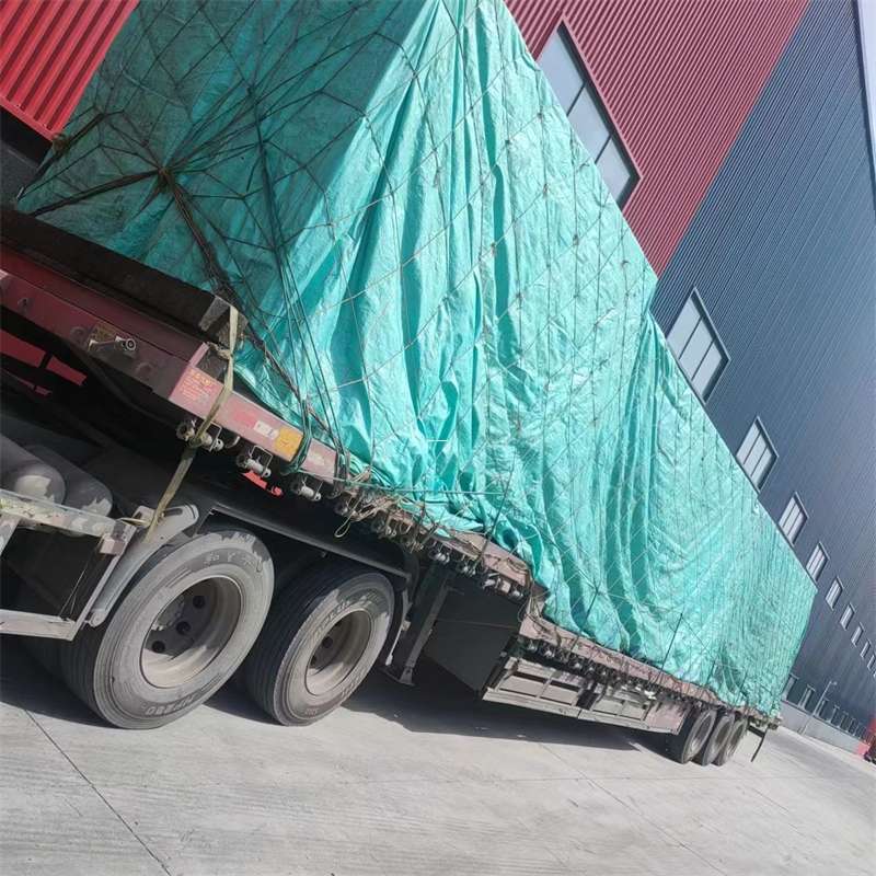 紫云县台江县进仓物流：专线直达的多元货运探索